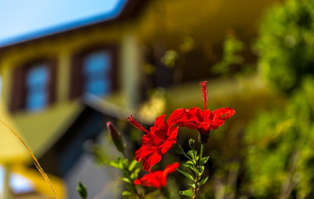Marmaris Holiday Villas Esterno foto